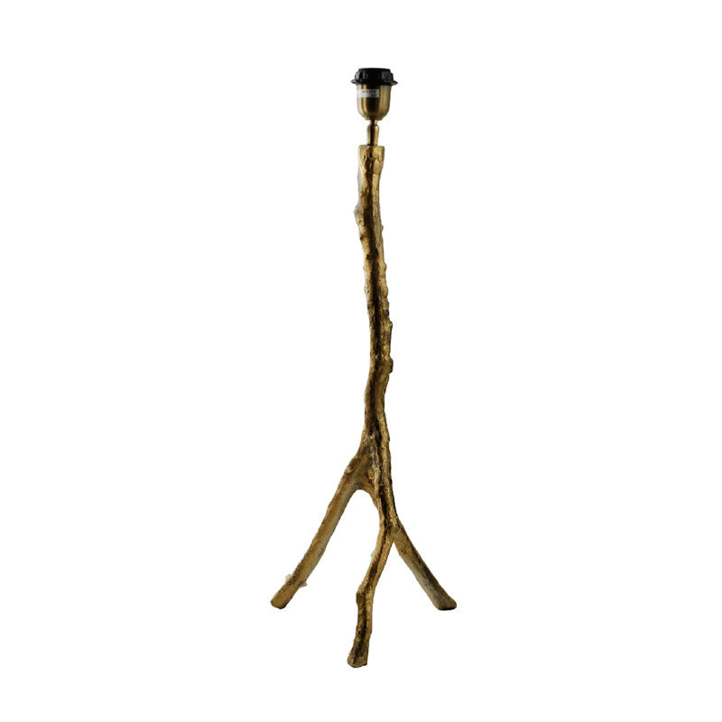 LAMPFOT BRANCH