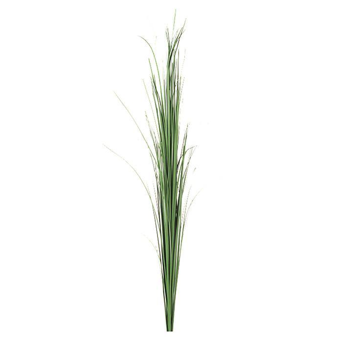 MR PLANT Gräs, 85cm 6st